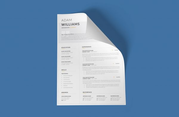 Organized CV Example