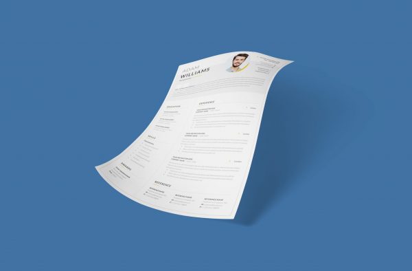 Organized CV Example