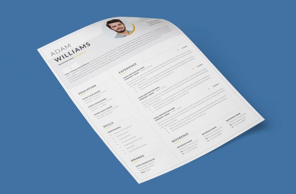 Organized CV Example