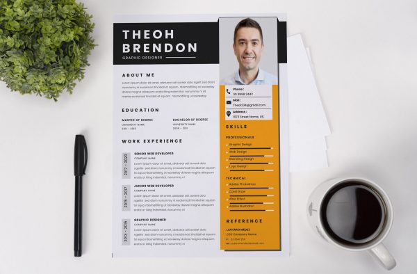 Practical CV Template