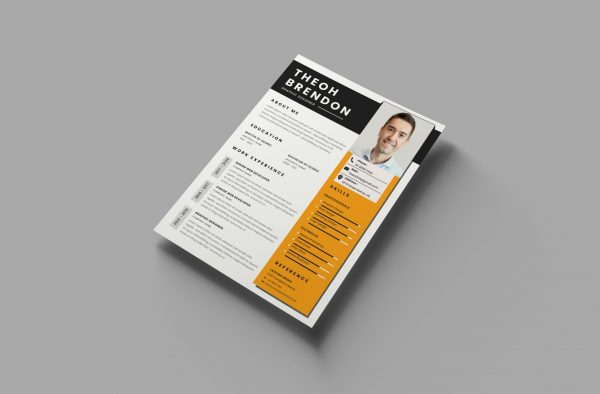 Practical CV Template