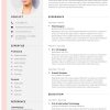 Professional CV format