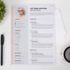 Professional CV format