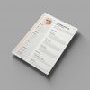 Professional CV format