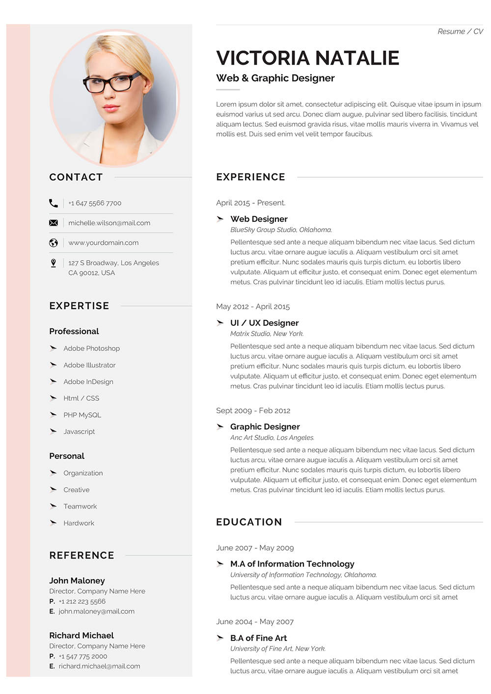 Professional CV Format Template to Download Word Format (doc/docx)