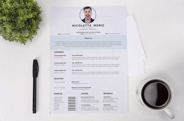 Swiss Style CV Template