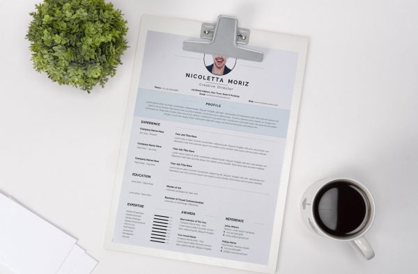 Swiss Style CV Template