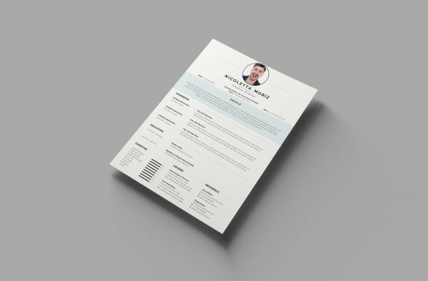 Swiss Style CV Template