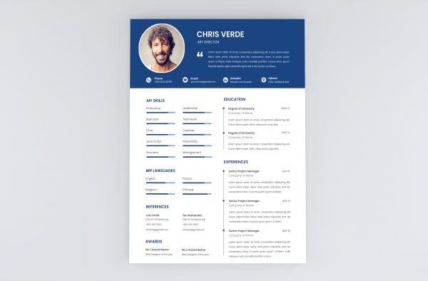 Best CV Template 2021