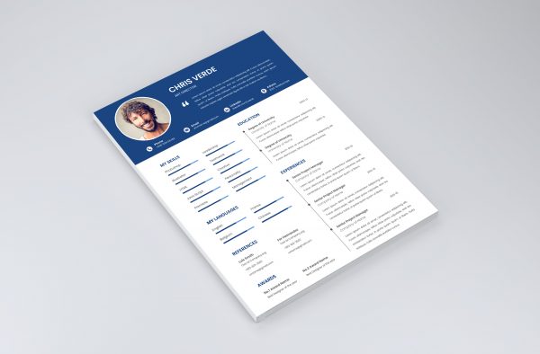 Best CV Template 2021