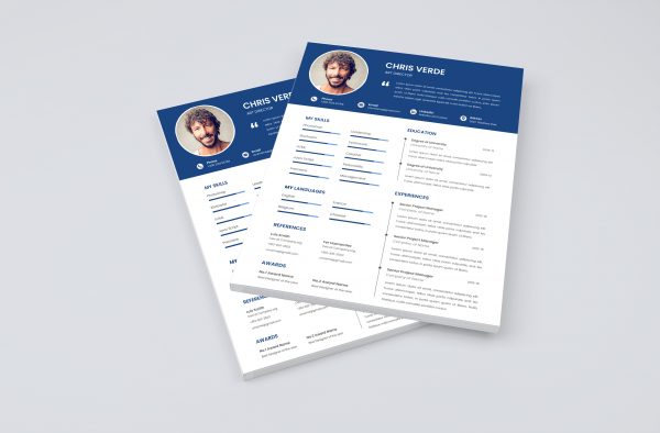 Best CV Template 2021