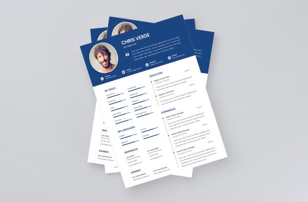 Best CV Template 2021