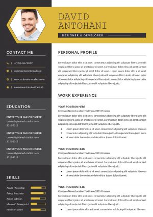 Creative CV Templates 2021