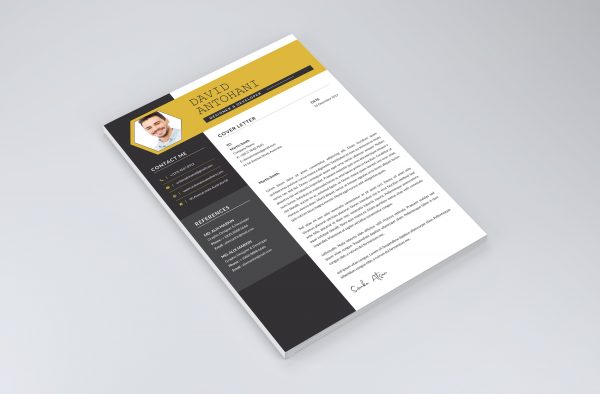 Creative Cover Letter Templates 2021