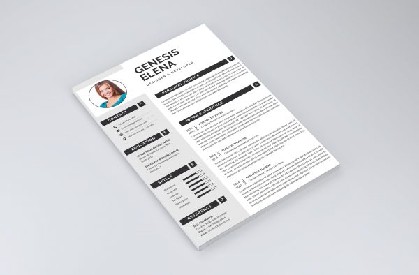 Executive Resume CV Template