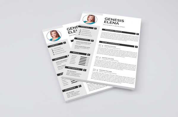 Executive Resume CV Template