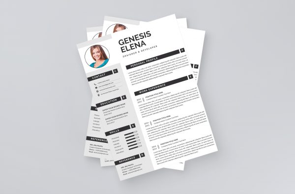 Executive Resume CV Template