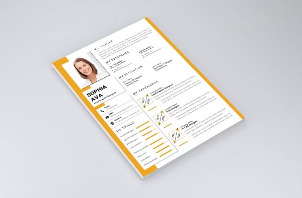 Modern Professional CV Template