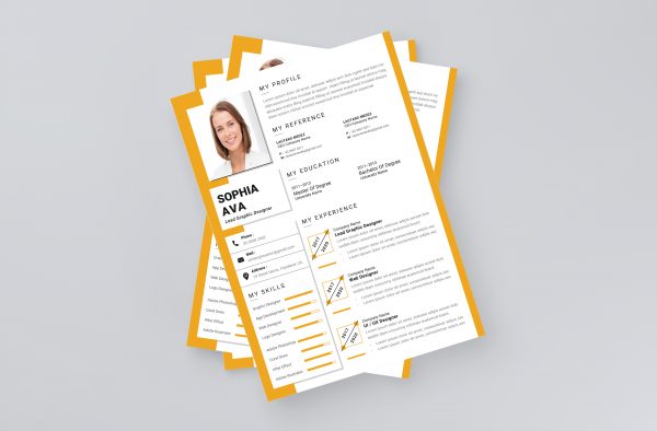 Modern Professional CV Template