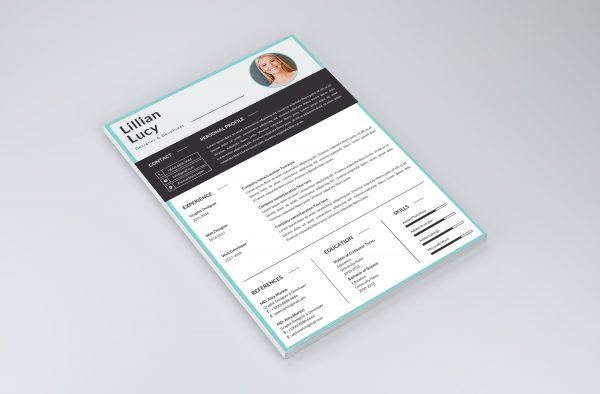 Professional Resume Template 2021