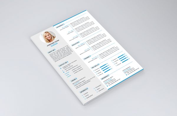 Professional Resume Template Word