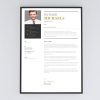 Professional Simple Cover Letter Template