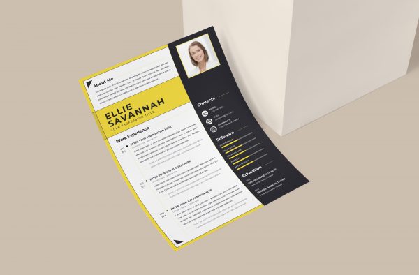 Creative Modern Curriculum Vitae