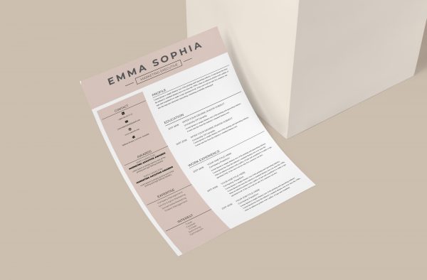 Original and Creative CV Template