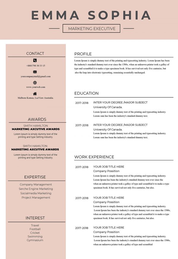 Original and Creative CV Template