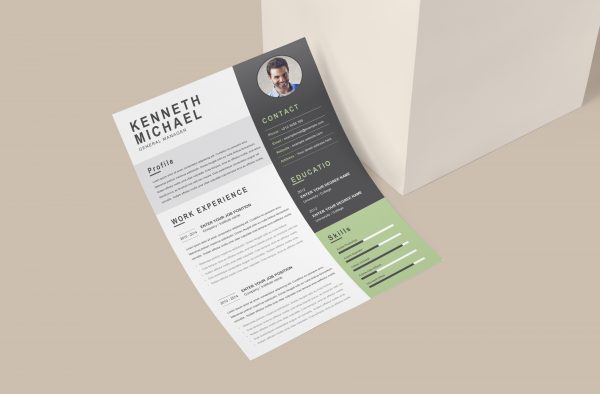 Perfect Original CV Template