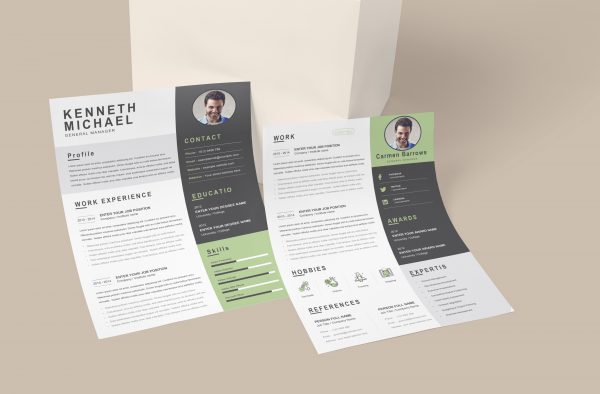 Perfect Original CV Template