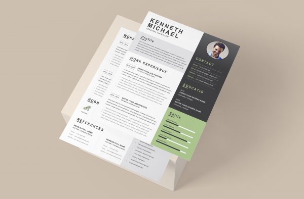 Perfect Original CV Template