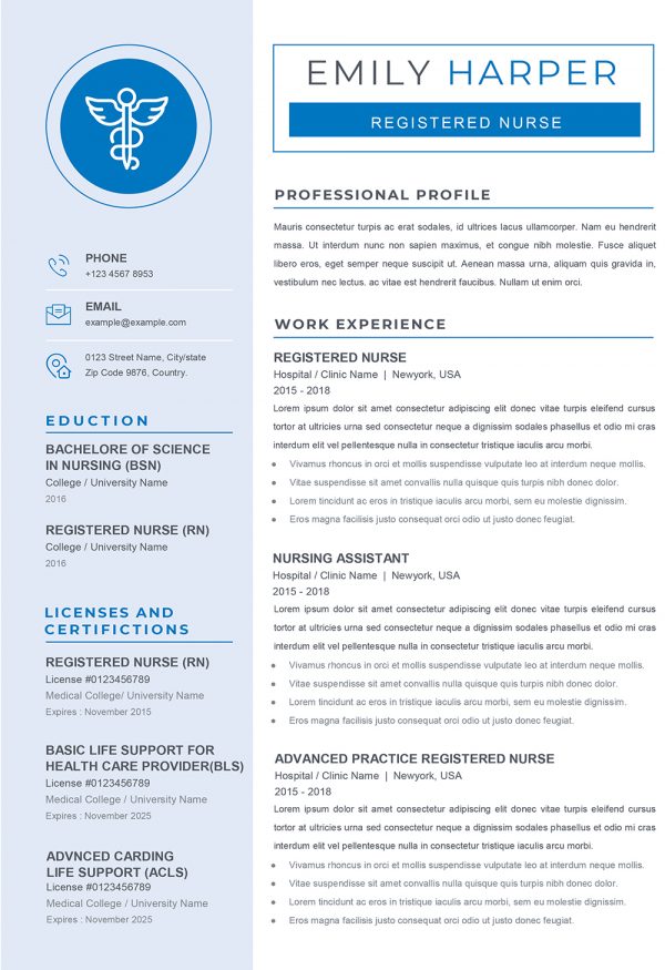 Professional CV Example