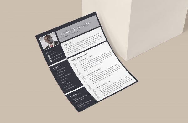 Resume Template Minimalist Style