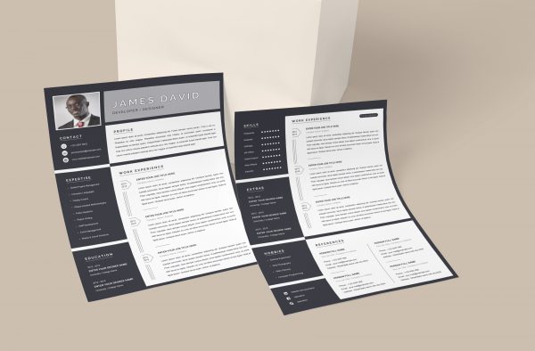 Resume Template Minimalist Style