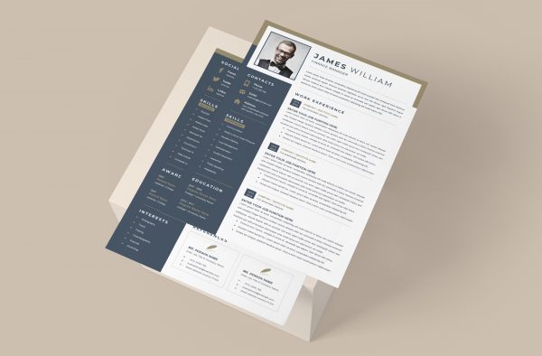 Resume Template to Download