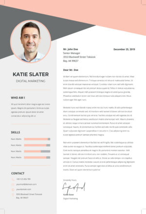 Example of a professional CV format for jobs with a clean and organized layout, highlighting key sections such as contact information, skills, experience, and education for an impactful job application.