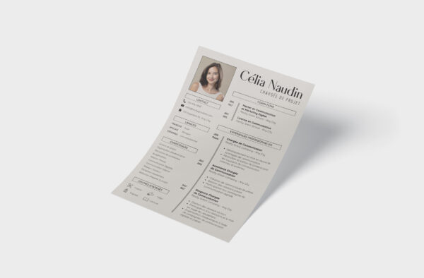 A formal CV layout is a structured and professional design that emphasizes clarity and organization. It presents your skills, experience